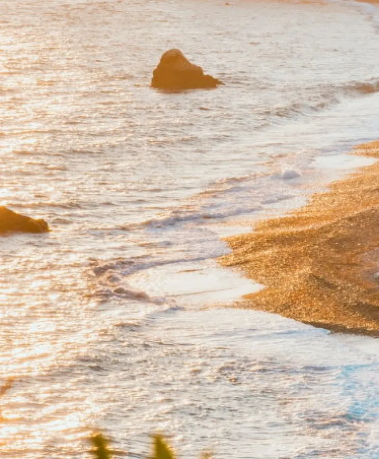 Cyprus Category F Visa